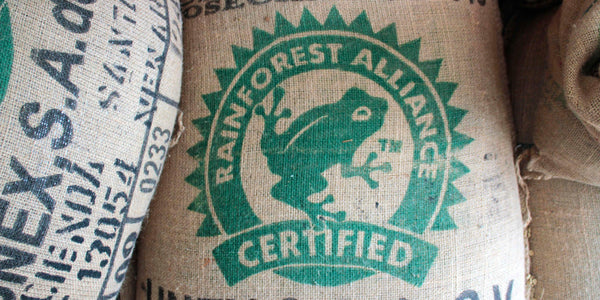 The Coffee Process: From Seed to Cup - Trading Post Coffee Roasters 