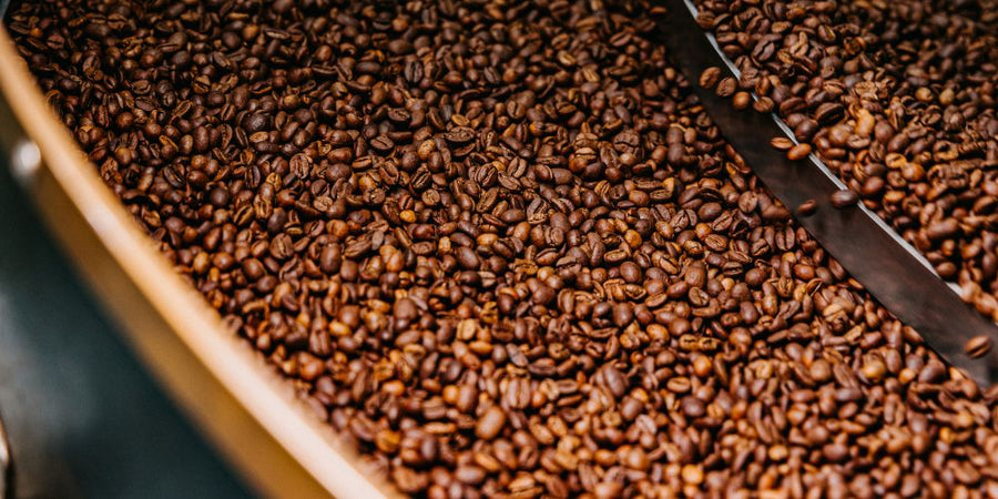 The Complete Guide to Fresh Coffee: How Long It Really Lasts (and Why It Matters)